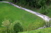 4.5.2013 - 3. DreiH�gelLauf / Z�bern - Super Lauf bei angenehmen Wetter!
