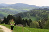 4.5.2013 - 3. DreiH�gelLauf / Z�bern - Super Lauf bei angenehmen Wetter!